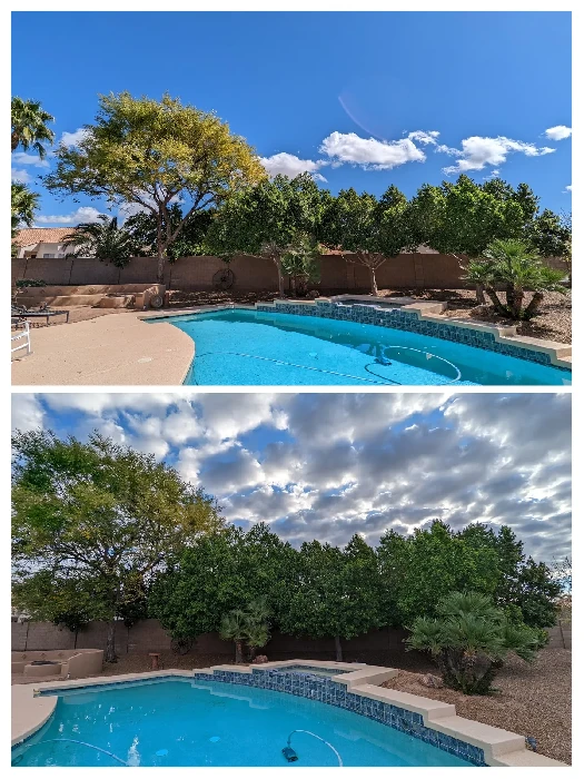 Backyard Tree Trimming for monsoon prep before and after in Mesa, Arizona