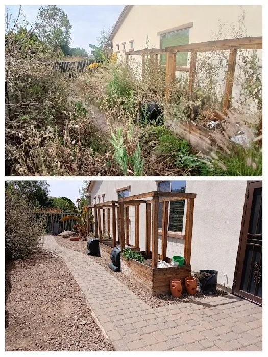 Complete Property Cleanup and Yard Reset before and after in Mesa Arizona by Bynum Tree and Landscape
