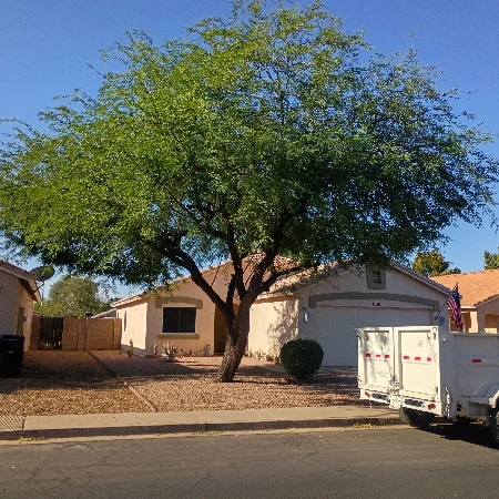 Recent residential tree before selective trimming by Bynum Tree and Landscape